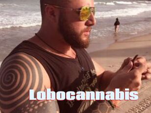 Lobocannabis