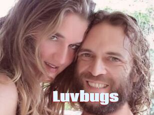 Luvbugs