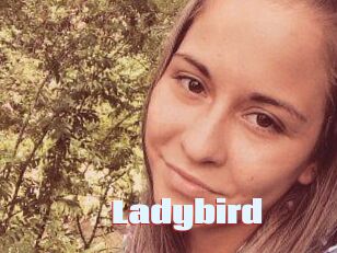 Ladybird