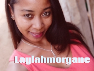 Laylahmorgane