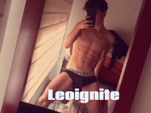 Leoignite