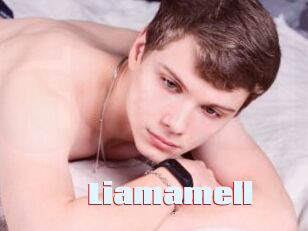 Liamamell