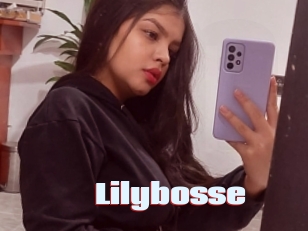 Lilybosse