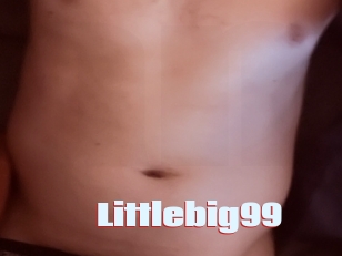 Littlebig99