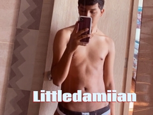 Littledamiian