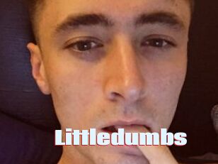 Littledumbs