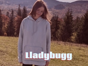 Lladybugg