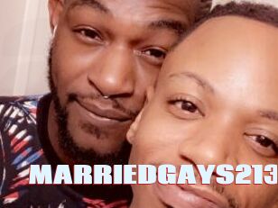 MARRIEDGAYS213