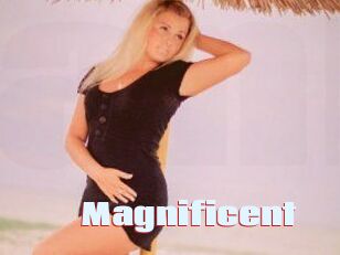 Magnificent