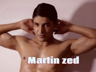 Martin_zed