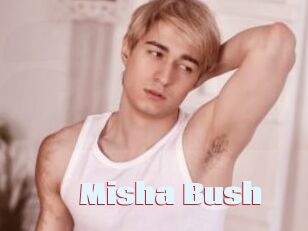 Misha_Bush