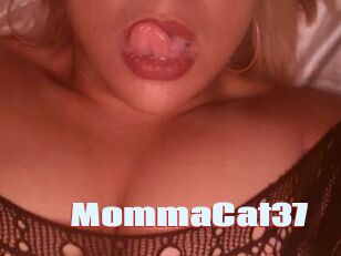 MommaCat37