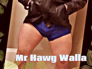 Mr_Hawg_Walla