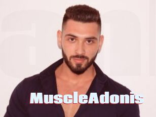 MuscleAdonis