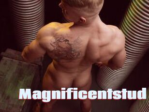 Magnificentstud