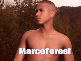 Marcoforest