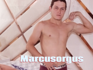 Marcusorgus