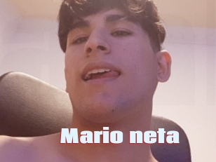 Mario_neta