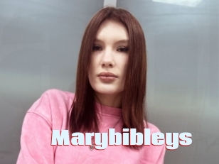 Marybibleys