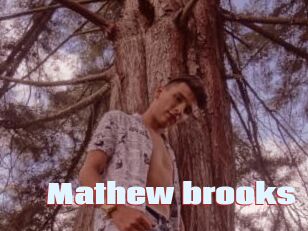 Mathew_brooks