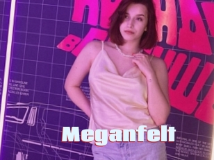 Meganfelt