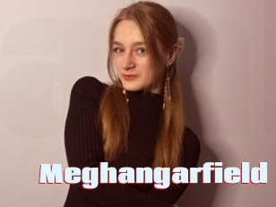 Meghangarfield