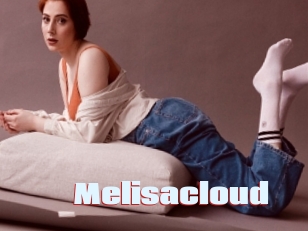 Melisacloud