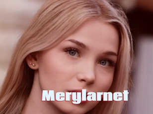 Merylarnet