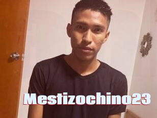 Mestizochino23