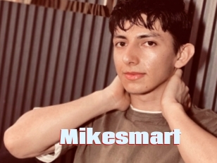 Mikesmart