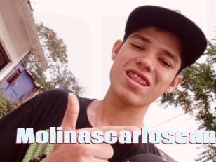 Molinascarloscam