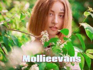 Mollieevans