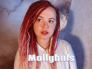 Mollybuls