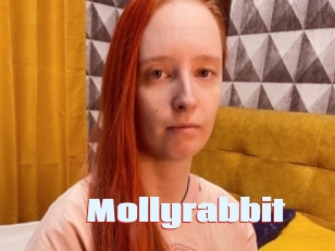 Mollyrabbit