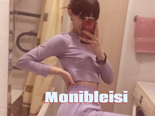 Monibleisi