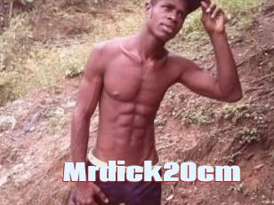 Mrdick20cm