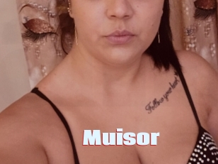 Muisor