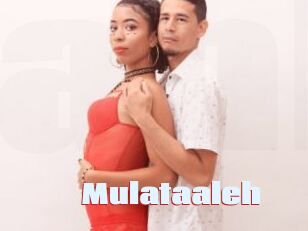 Mulataaleh