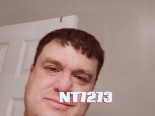 NT7273