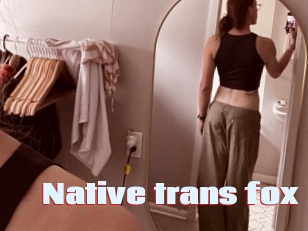 Native_trans_fox