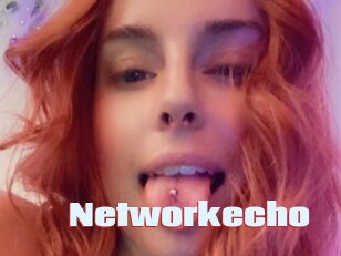 Networkecho