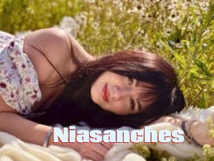 niasanches Anal Open