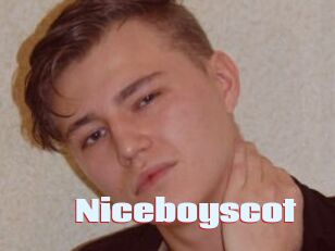 Niceboyscot