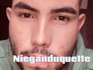 Nieganduquette