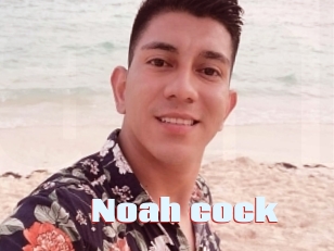 Noah_cock