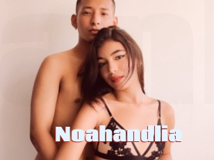 Noahandlia