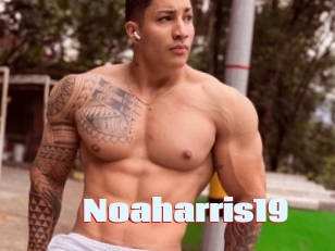 Noaharris19