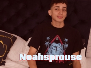 Noahsprouse