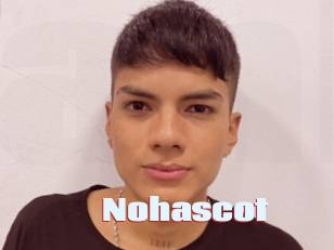 Nohascot