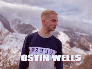 OSTIN_WELLS